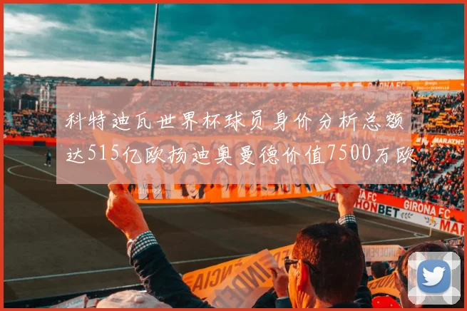 科特迪瓦世界杯球员身价分析总额达515亿欧扬迪奥曼德价值7500万欧