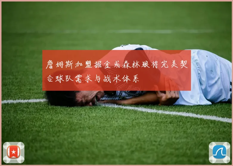 詹姆斯加盟掘金或森林狼将完美契合球队需求与战术体系