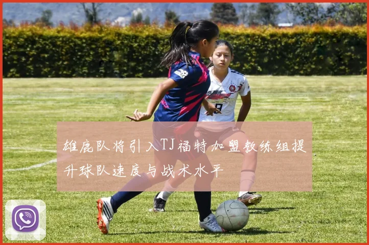 雄鹿队将引入TJ福特加盟教练组提升球队速度与战术水平